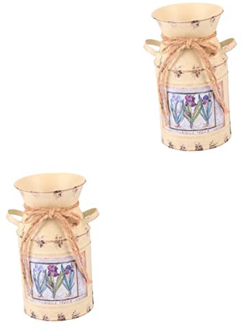 EXCEART 2 STK Pflanzkübel Shabby-chic-vase Aus Metall Kannenvase Blumendekor Ländliche Metallvase Verzinkte Blumenvase Verzinkter Blumentopf Hochzeitstischdekoration Kaktus Sukkulenten