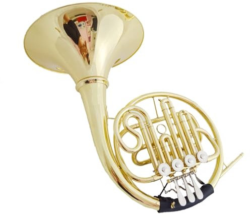 waldhorn instrument Einzelnes Waldhorn In B Einsteiger-Testvorstellung Auf Einstiegsniveau Einzelnes Waldhorn Mit Vier Klappen