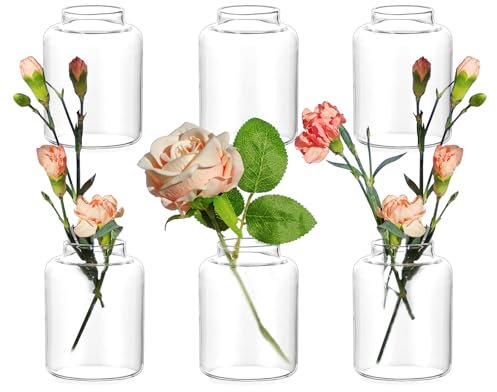 Hewory Mini Bud Vases for Flowers: 6pcs Small Flower Vase Clear Small Vases for Table Decoration Centrepiece - Cute Glass Vase Bulk for Wedding Baby Shower Party Room Decor Home