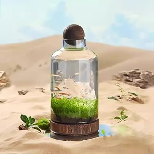 MegLob Aquarium pour Poissons Betta, Bocal en Verre avec Base en Bois, Aquarium Micro-Paysage, Vase en Verre 2 en 1 pour Fleurs, Aquarium Moderne pour Présentation sur Table,M