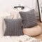 Mandioo 2er Set Super Soft Plüsch Faux Pelz Dekokissen Kissenbezüge 45x45 cm Grau, Plaid Textur Moderne Luxus Kissenbezug Sofakissen Dekorativ Couchkissen Kissenhülle für Sofa Couch Wohnzimmer
