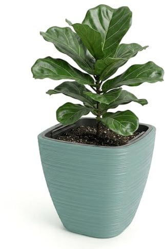 GEEZY Sage Green Plant Pot with Insert, 28.9 cm - Weather Resistant Indoor & Outdoor Planter - Modern Flower Pot for Living Room, Garden & Patio