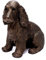 Brillibrum Design Dekofigur Hund Handmade Cocker Spaniel Figur aus Kunstharz & Bronze Cocker Spaniel groß