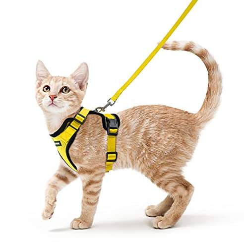 rabbitgoo Harnais Chat Petit Chien Laisse Harnais Chaton Réglable Jaune XS Collier Arnet Chat Refléchissant Gilet Respirant pour Lapin, Chat Européen, Maine Coon, Persan, Attache Dessus avec Laisse