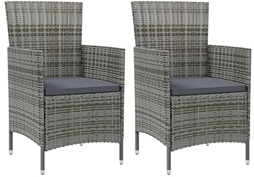 vidaXL 2X Chaises de Jardin avec Coussins Fauteuils de Patio Chaises de Salle à Manger d'Extérieur Fauteuils de Terrasse Résine Tressée Gris