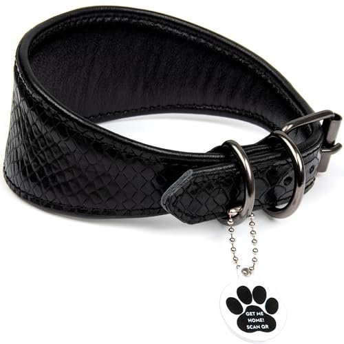 FAVPET Luxus Echtleder Windhund Halsband Breit mit QR Code Anhänger, Weiches Lederhalsband Hund Breit Whippet Italienisches Windspiel Saluki Lurcher Spanischer Galgo Greyhound Podenco (Schwarz, M)