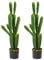 Oairse Juego de 2 plantas artificiales de 82 cm, plantas de cactus, plantas artificiales grandes, en maceta, decoración de plantas, Euphorbia Accruensis Cactus, cactus artificial para el hogar,