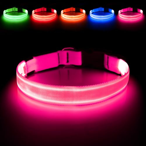 Illumifun Leuchthalsband Hund Aufladbar LED Hundehalsband Wasserdichtes Leuchthalsband für kleine und große Hunde, Hundelichter für nächtliche Spaziergänge (Pink, L)