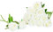 Floralsecret 12 Pcs Artificielle Soie Rose Bouquet De Fleurs Faux Fleurs Décor De Fête De Mariage À La Maison (Blanc)