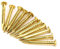 Clou en laiton, clou à tête ronde 100Pcs, meubles en bronze à fonction de fixation forte pour la maison(15mm long)