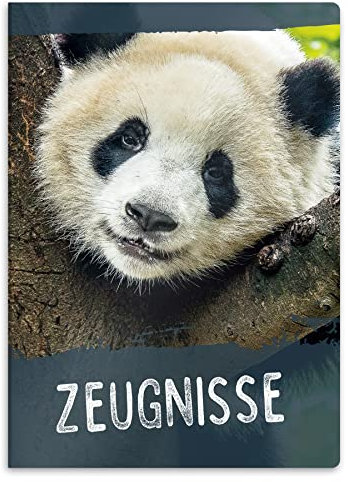 itenga Zeugnismappe mit Motiv DIN A4 stabile Dokumentenmappe Sichtbuch für Zeugnisse - 20 stabile Hüllen - für Kinder Jugendliche Schüler Mädchen Jungen (Motiv Panda)