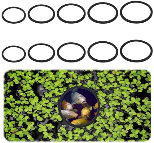 HekouJiub 10Pcs Fish Feeding Ring Black Aquarium Floating Plant Rings EVA Aquarium Feeding Ring Floating Plant Corral Fish Tank Accessories for Intercepts Floating Plants and Feeding (5 Sizes)