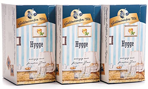 Goldmännchen Tee Hygge Kräutertee aromatisiert mit Zimt-Vanillegeschmack, 20 Teebeutel, 3er Pack
