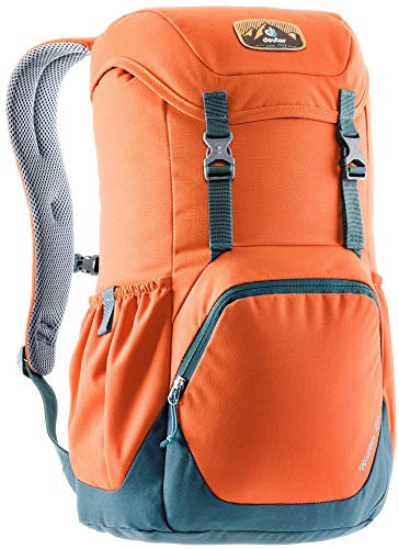 deuter Walker 20 Tagesrucksack