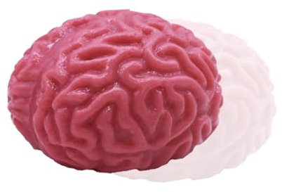 Gehirn Stress Spielzeug, Halloween Stressbälle, Gefälschte Gehirn Stressbälle, Weiches GelFake Orgel Für Halloween Party Zubehör, Realistisches Erscheinungsbild, Herz Und Gehirnschnitte Optional