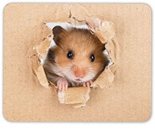 Destination Vinyl Ltd Funny Hamster Mouse Mat Pad - Rodent Kids Girls Boys PC Computer #8521
