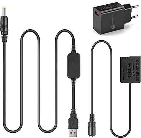 Raeisusp USB-Kabel + DMW-DCC8 BLC12 BLC12E Dummy-Akku für Lumix DMC-GX8 FZ1000 FZ300 FZ200 G7 G6 G5 G80 G81 G85 GH2 GH2K GH2S DC-G90 DC-G91 DC-G95 DC-G99
