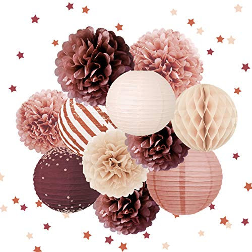 NICROLANDEE Hochzeits-Party-Dekorationen – 12 elegante Zimt-Rosen-Papierlaternen, Seidenpapier, Pompoms, Tisch-Konfetti, 50 g, für Verlobung, Braut/Babyparty, Retro, ländliche Party, Jahrestag