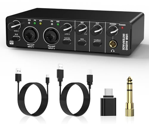 Audio Interface, RHM 2 In 2 Out USB Audio Interface with 48V Phantom Power for Recording, Professional Audio Mixer & Mic Preamplifier XLR/TSR/TS Ports for Guitarist, Vocalist or Podcaster (Model 2)