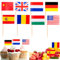 100 Stück Zahnstocher, Flaggen, Party-Dekorationen, Kuchendekoration, Cupcake-Flaggen, 50 Nationen, Cocktail-Picker mit Flaggen der Welt, für Lebensmittel, Sandwich, Bar,