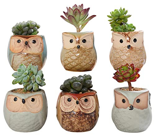 Sukkulente Pflanzentopf im Freien im Freien Kaktuspflanzen Topf Kleiner Keramik Blütenschiff Pflanzentlast