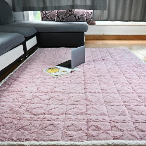 Beyeutao Rosa großer Teppich für Schlafzimmer Wohnzimmer 120 x 200 cm Samt Flauschiger Teppich Große Shaggy Teppiche Matratzenauflage Kinder Spielen Teppiche Nachttischteppich Wohnkultur