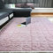 Beyeutao Rosa großer Teppich für Schlafzimmer Wohnzimmer 120 x 200 cm Samt Flauschiger Teppich Große Shaggy Teppiche Matratzenauflage Kinder Spielen Teppiche Nachttischteppich Wohnkultur
