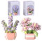 FINEASY 2er-Blumenstrauß-Set, Blumen Bausteine Klemmbausteine Blumen Sukkulenten Bonsai Baum Set Mini künstliche Blumen Bauspielzeugsets Botanische Sammlung Heimdekoration für Jungen Mädchen (Satz 2)