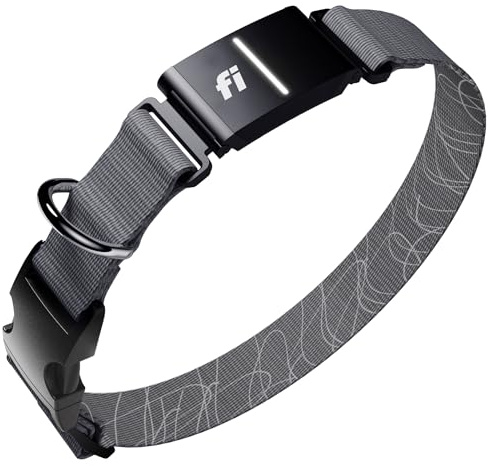 New Fi Smartes Hundehalsband Serie 3+ – GPS-Hunde-Tracker und Aktivitätsüberwachung, wasserdicht, LED-Licht, Fluchtwarnungen, bundesweite Abdeckung [kostenlose 6-monatige Mitgliedschaft] (Grau, mittel