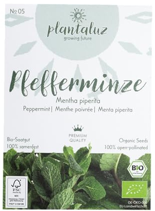 Plantaluz Pfefferminzsamen Bio Saatgut – Kräutersamen – Ca. 100 Korn | BELIEBTES TEEKRAUT: Ideal für Kräutergarten, Pflanzkübel und die Ernte frischer Blätter für Minztee und Kräutertee.
