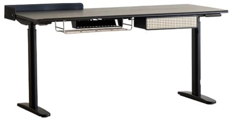 ZENGXJYCQINGJIANG Gaming Desk Electric Standing Desk with Drawer and Storage basket, Ash Wood Height Adjustable Study Writing Workstation