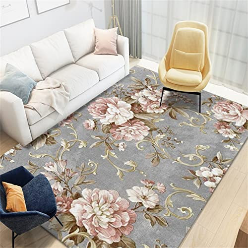 Xiaosua Tapis Jardin Rose Tapis de Salon Gris Rose Motif Floral Vintage Doux canapé Tapis Lavable Deco Chambre Fille ado 80X160CM Tapis d'exterieur pour terrasse 2ft 7.5''X5ft 3''