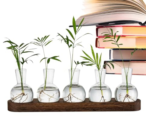 Estación De Propagación De Plantas: Jarrón De Vidrio Hidropónico De 14,37 X 2,76 X 0,98 Pulgadas, Macetero De Escritorio, Terrario Interior De Larga Duración | Botellas Hidropónicas Vintage Para Plant