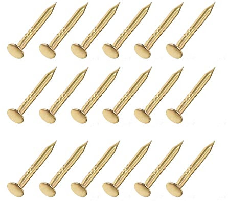METALLIXITY Pequeños Clavos (1x10mm) 200uds, Carbono Acero Diminutos Herraje Clavos - para Hogar Carpintería, Dorado Tono