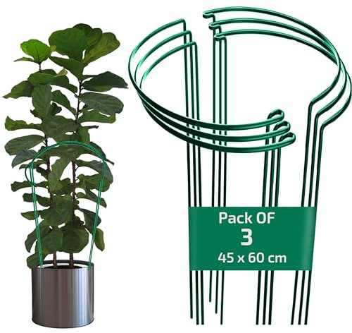 My Garden Plant Support Stakes 3Pack Half Round Plant Support Ring Cage Frame Plastic Coated Metal Plant Supports For Outdoor Indoor Peonies Tomatoes Tulips Roses Daisies Lavender (45 x 60 CM)