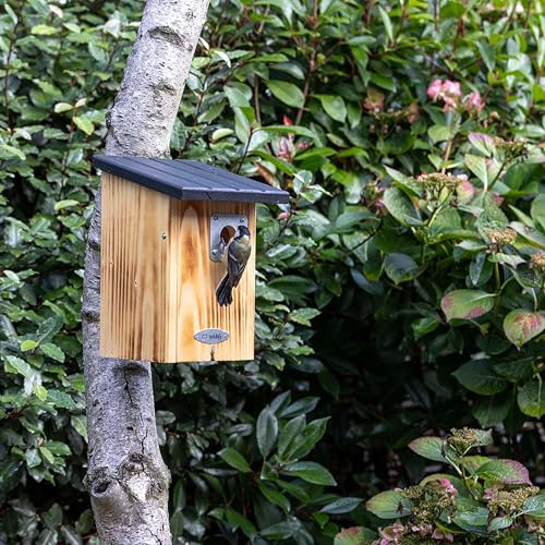 CJ Wildlife Nistkasten – Vogelnistkasten für draußen wetterfest – Schutz-Tunnel 32 mm Einflug – FSC-Holz Braun/Schwarz – für Meisen, Kleiber, Feldsperling