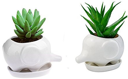 wish you have a nice day Set of 2 Cute Elephant Flower Pot,Modern White Ceramic Succulent Planter Pots/Tiny Flower Plant Containers (Elephant)