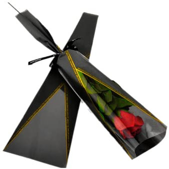 100 Counts Single Floral packaging bag,Bouquet Sleeve,Single Rose and Carnations Flower Wrapping Paper,Flower Bag for Mother's day Valentines Day Wedding Birthday Gift (Black)