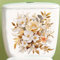 Goldene und bunte WC-Abdeckungs-Aufkleber, Fische, Vogel, Blume, Blatt, wasserdicht, WC-Deckel, Tanksitz-Aufkleber, Spülkasten, selbstklebend, Badezimmer-Wandaufkleber