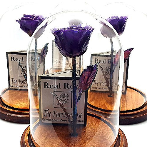 Forever Rose Enchanted Purple Preserved Rose | Hand Dipped Rose in Lacquer with A Copper Stem, in A Glass Dome | Inspired by Beauty and The Beast Flower | Romantic Gifts for Women & Men