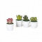 Gerimport Maceta Mini Cactus Artificial 4.50x4.50x7.50 cm Disponible en Varios Modelos Diferentes, se enviará de Forma aleatoria según la disponibilidad del Mismo.