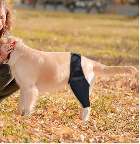 GOVNPJ Hunde Kniebandage,Kniebandage für Hunde mit Kreuzbandverletzungen, Patellaluxation oder Arthrose,Hundebeinstützen Hinterbeine Recovery Sleeve Hund, S
