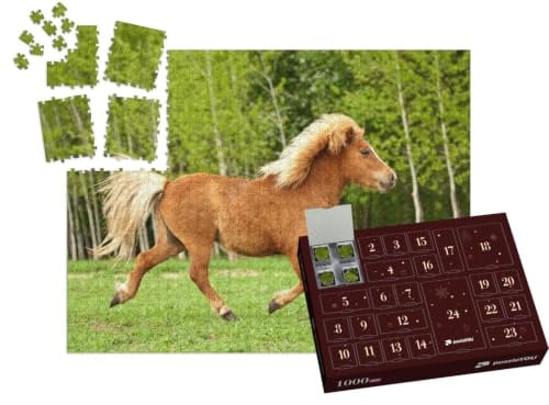 puzzleYOU: Puzzle-Adventskalender | „Pony im Trab auf Einer Sommerwiese“ – aus der Puzzle-Kollektion Pferde, Shetlandpony