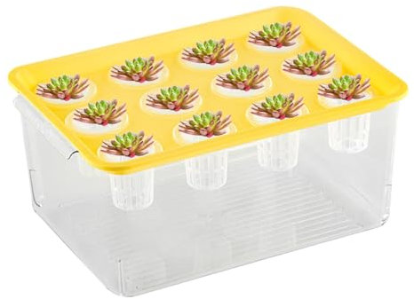 Plantador acuapónico y acuario para peces, plantador acuático y acuario para Betta Fish | Estación de distribución de plantas | Home Betta Fish Tank Hydroponic Plant Propagation Station para mujeres y