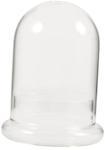 Cabilock Botella De Ecológico De Vidrio Transparente Para Plantas Diy Con Cloche Dome Decoración Natural Para Hogar