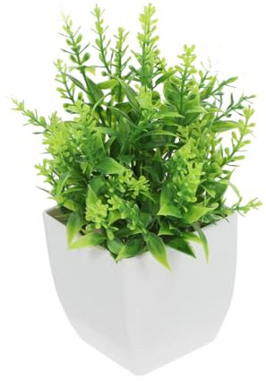 Alipis Piante D'imitazione Piante Grasse Artificiali Piante Finte Pentola Piante Artificiali Realistiche Pianta Artificiale Piante Artificiali Da Pianta in Vaso Di Simulazione Pp