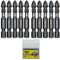 10 x SabreCut SCPH250_10 50 mm PH2 Destornillador de impacto Juego de puntas Phillips n.º 2 de un solo extremo para trabajo pesado, incluida la caja de almacenamiento