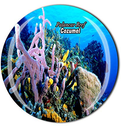 Palancar Reef Cozumel Mexiko Kühlschrankmagnet Souvenir Geschenk Kristall Kühlschrank Magnetaufkleber