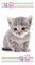 APTEX Duschtuch Badetuch Handtuch Strandtuch mit Katze 70 x 140cm, Mehrfarbig