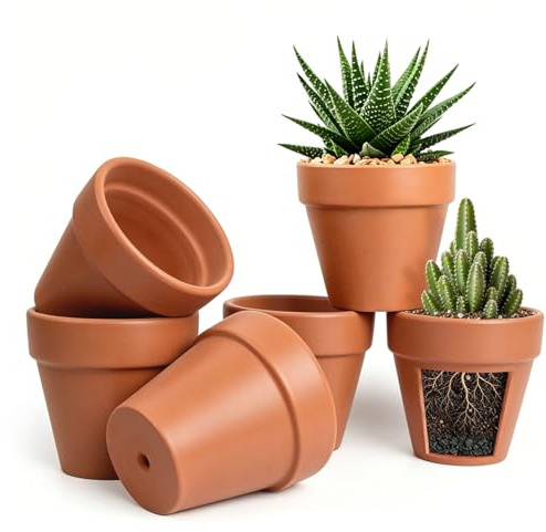 Forbabe 6er Set Terrakotta Blumentöpfe, 12x10cm Terrakotta Topf Kleine Tontöpfe mit Abflussloch, Tontopf Blumentopf Atmungsaktive Pflanztöpfe DIY Bemalen für Zimmer Büro Innenräume und Gärten